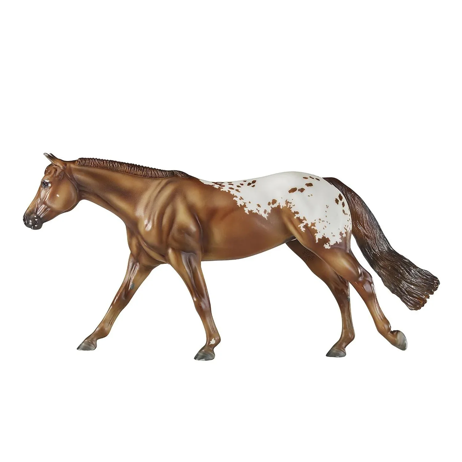 Chocolatey Champion Appaloosa Horse 1842 - Image 4