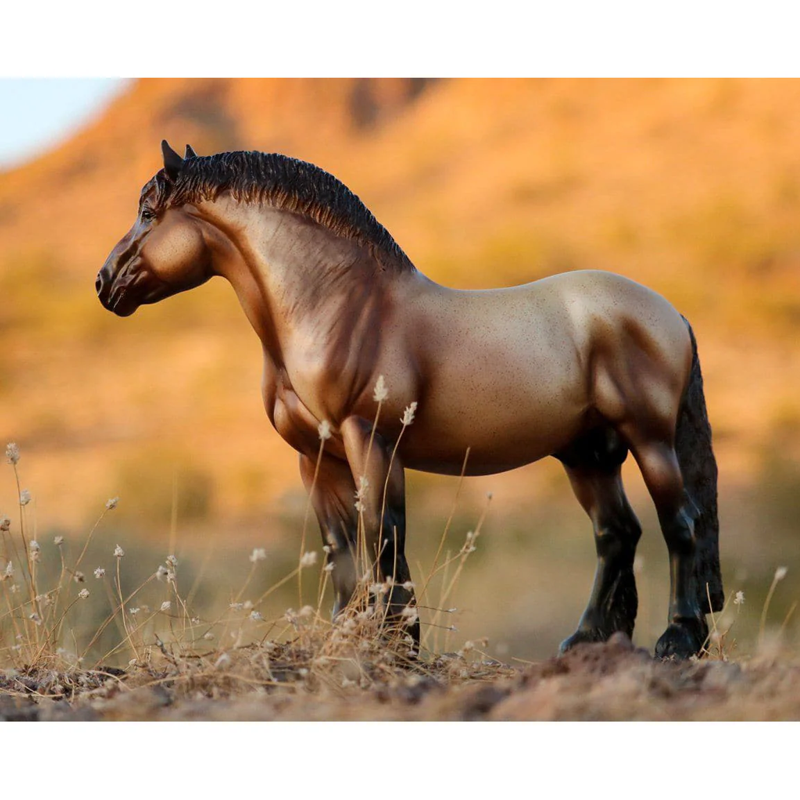 Theo Ardennes Draft Horse 1843 - Image 3